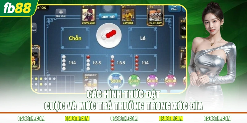Các hình thức đặt cược và mức trả thưởng trong Xóc Đĩa 