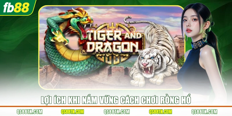 Lợi ích khi  nắm vững cách chơi Rồng Hổ 