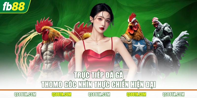 Trực tiếp đá gà thomo góc nhìn thực chiến hiện đại